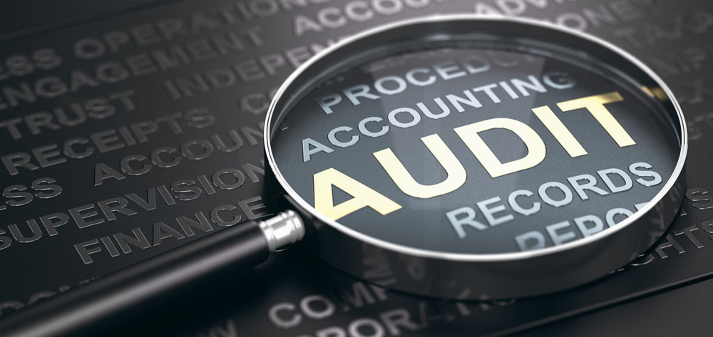 What do tax audits involve?
